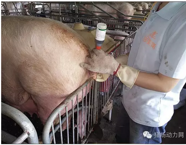 QQ截图20160530091933.png