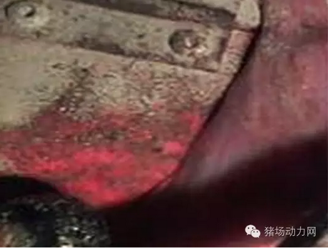QQ截图20160530091922.png