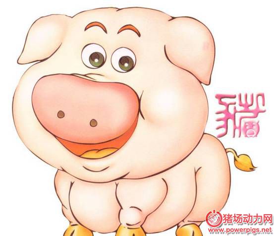 提高母猪产仔数的技术措施