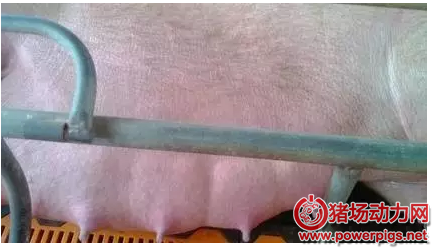 QQ截图20160607090842.png