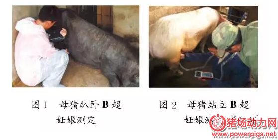 QQ截图20160607090832.png
