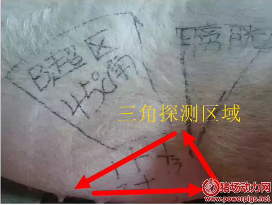QQ截图20160620155626.png