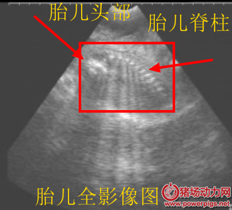 QQ截图20160620181132.png