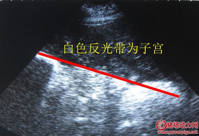 未命名_副本.jpg