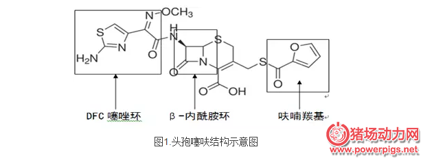 QQ截图20170104085125.png