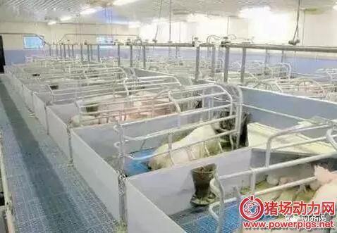 QQ截图20180108101514