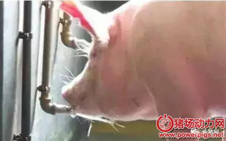 QQ截图20180108101528