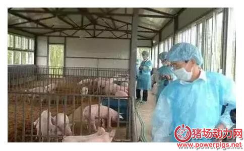 QQ截图20180108101644