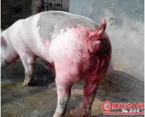 QQ截图20180112081139.jpg