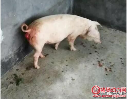 QQ截图20180112081153.jpg