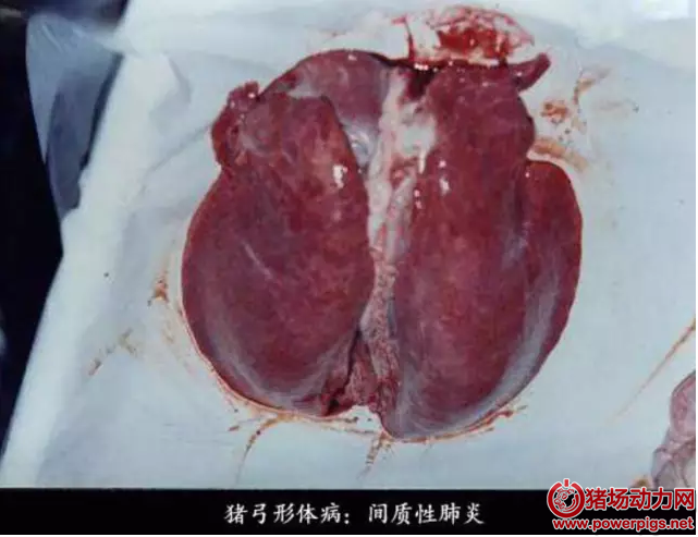 QQ截图20160817083929.png