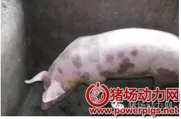 QQ截图20160614101224.png