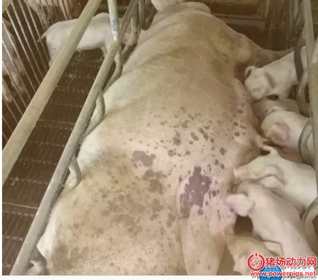 QQ截图20160614101212.png