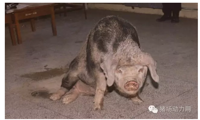 QQ截图20160629170601.png