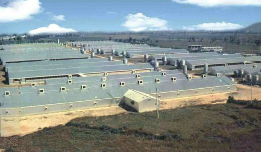 大型规模化养猪场对待选址相当谨慎,下面介绍8个选址要点