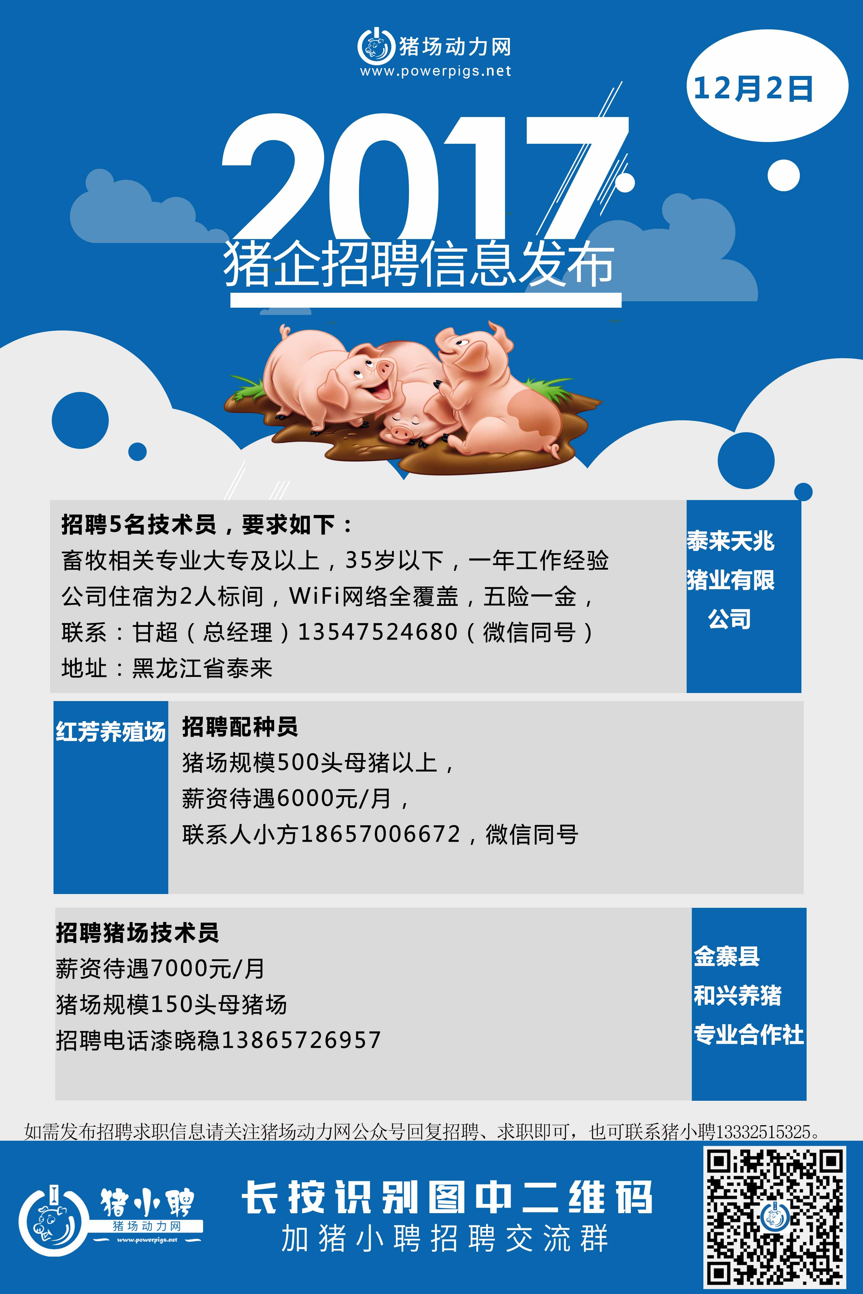 12月2日各地猪场招聘求职信息汇总_养猪技术_猪场动力网