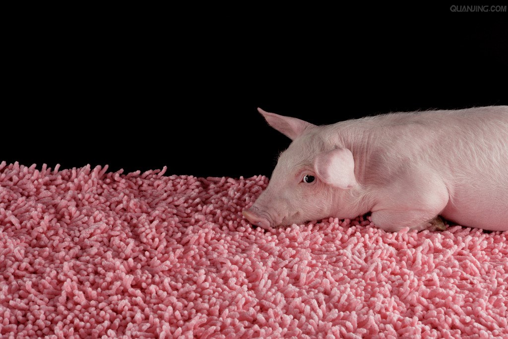 欧洲否决限制转基因市场的草案