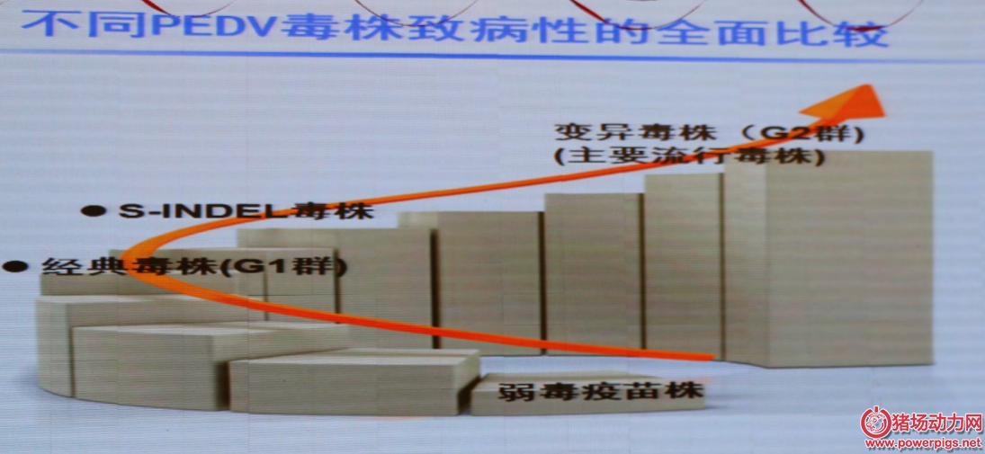 图3.png