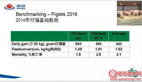 QQ截图20180112090558