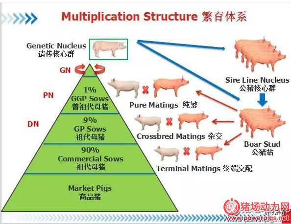 QQ截图20180112092346