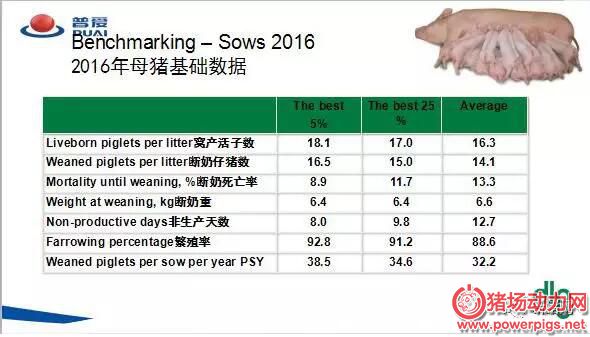 QQ截图20180112090547
