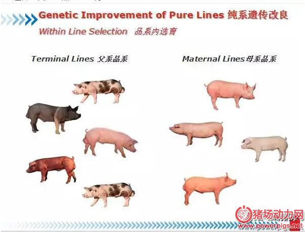 QQ截图20180112092410
