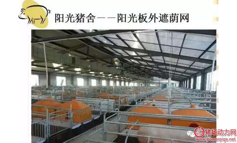 ①光能可以转化为热能,阳光照射在猪舍内可以使地面升温;②阳光照在