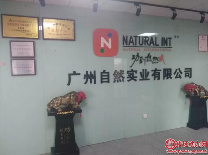 QQ截图20180125085517