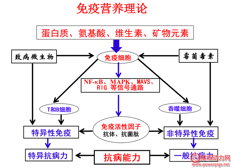 bf112d76603df749d328dc604d056041.png