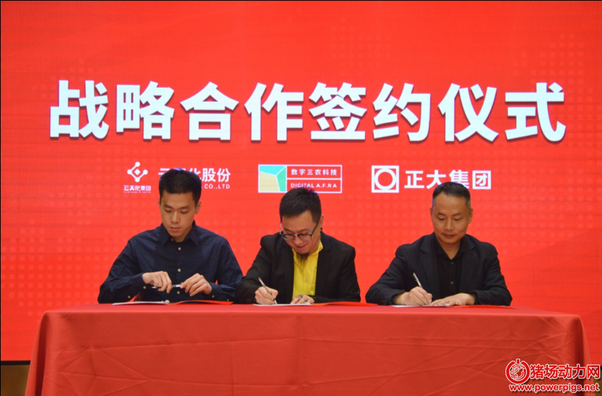 图片3 1.png