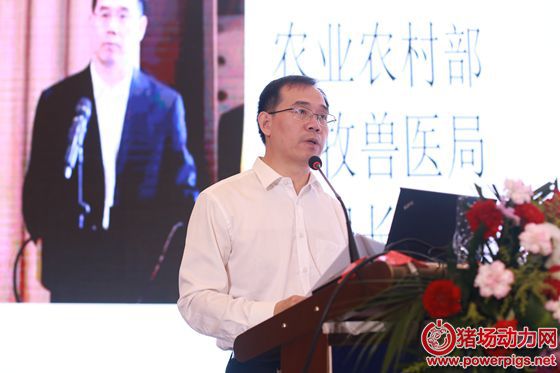 第六届全球猪业论坛暨第十六届(2019)中国猪业发展大会在武汉市洲际