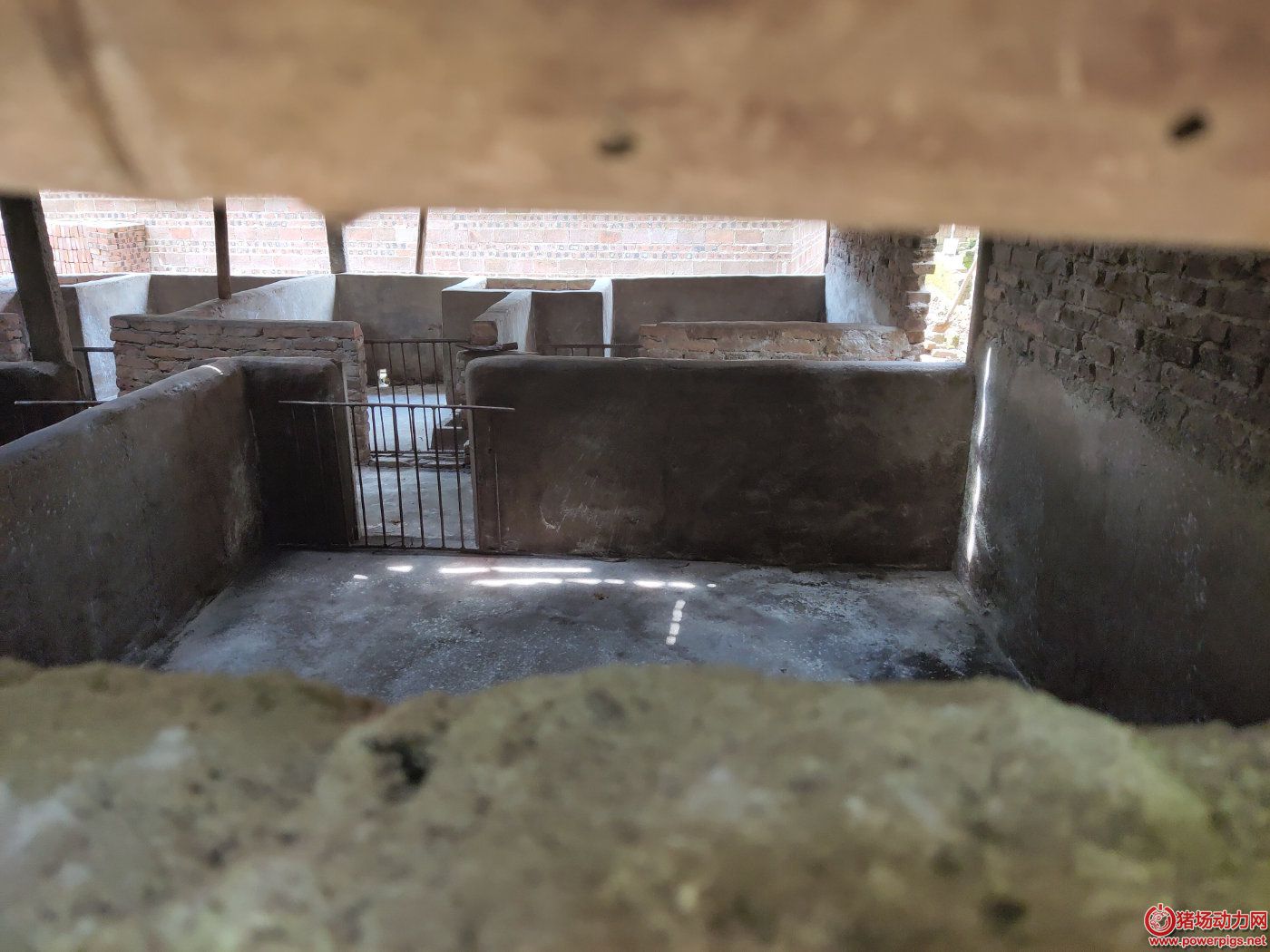 广西玉林大塘村的金展养猪场已空置
