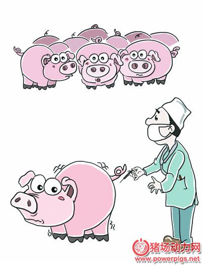 养猪技术_猪场动力网