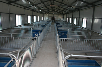 技术 猪场建设 猪场管理    冬季气温骤降,易导致生猪免疫力下降,抗病