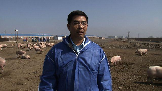 当地一个养猪场的老板找到张建和,找他做猪场的基础设施建设